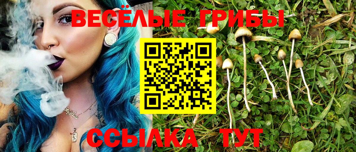 Галлюциногенные грибы прущие грибы  Вход с VPN  купить закладку  Кирово-Чепецк 